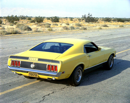 1970 Ford Mustang Mach 1 0001-4657