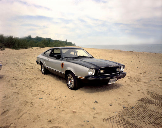 1976 Ford Mustang Stallion 0001-4665