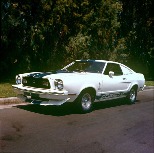 1976 Ford Mustang ll Cobra ll 0001-4666